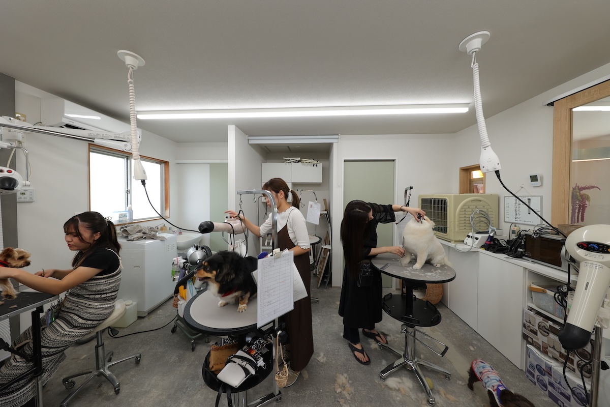 作業効率と心地よさを両立した店舗リノベーション