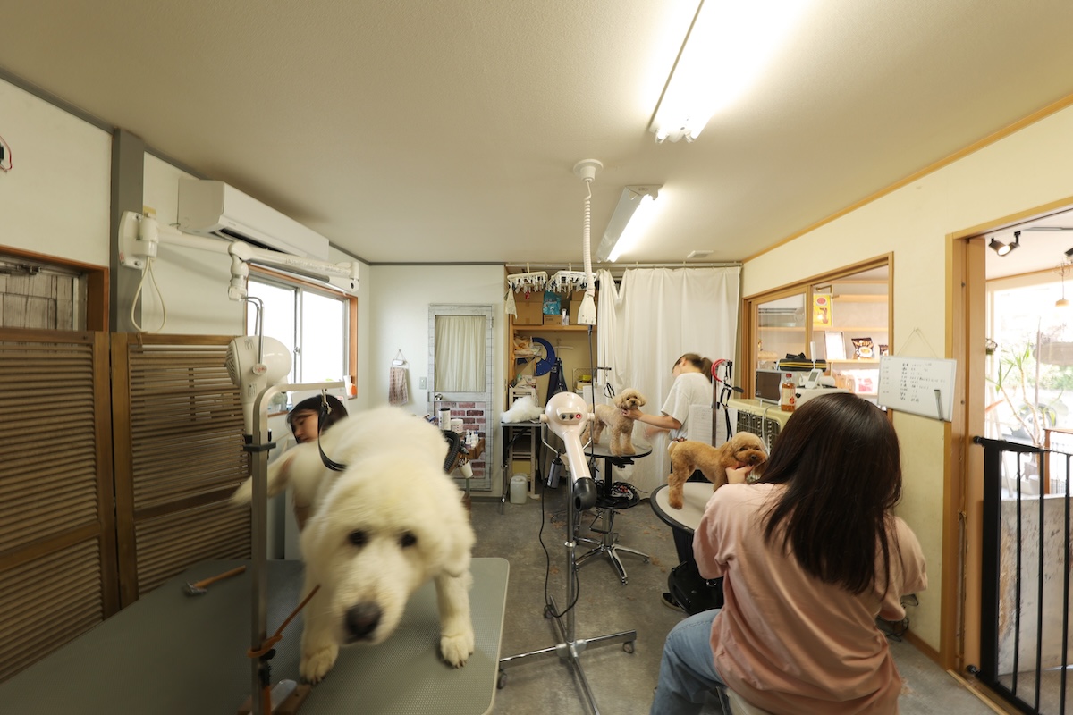 作業効率と心地よさを両立した店舗リノベーション